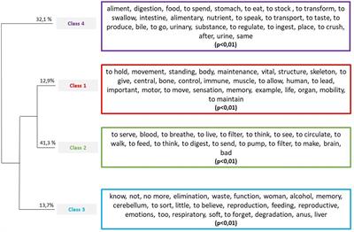 The body interior in anorexia nervosa: from interoception to conceptual representation of body interior